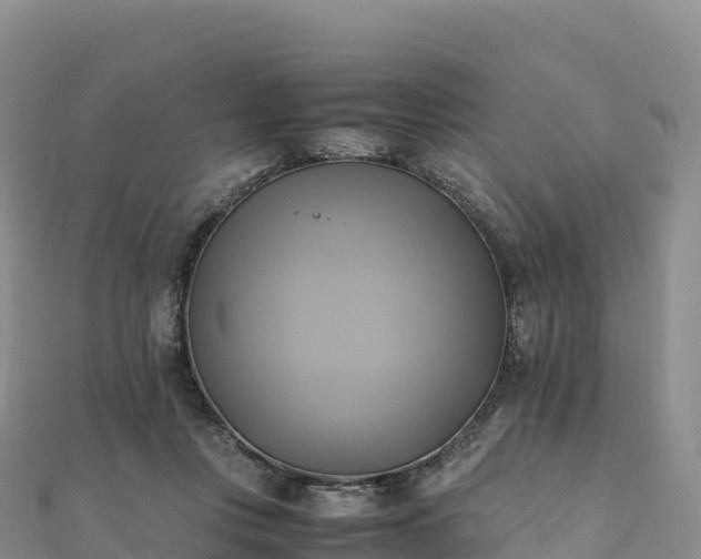 X0000110730359200906191530