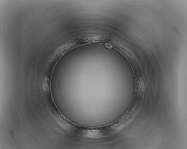 X0000110730361200906191530