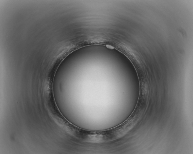 X0000110730362200906191530