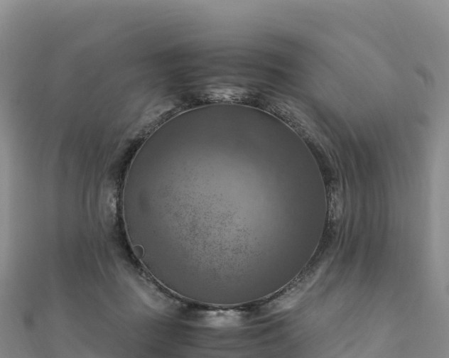 X0000110730363200906191530