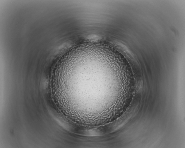 X0000110730365200906191530