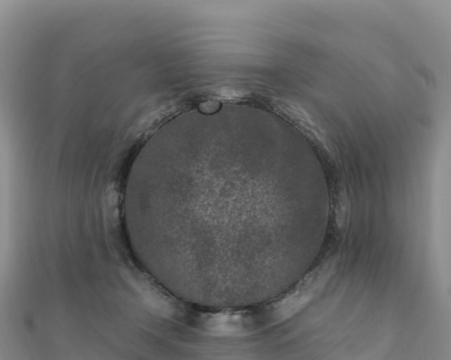 X0000110730366200906191530