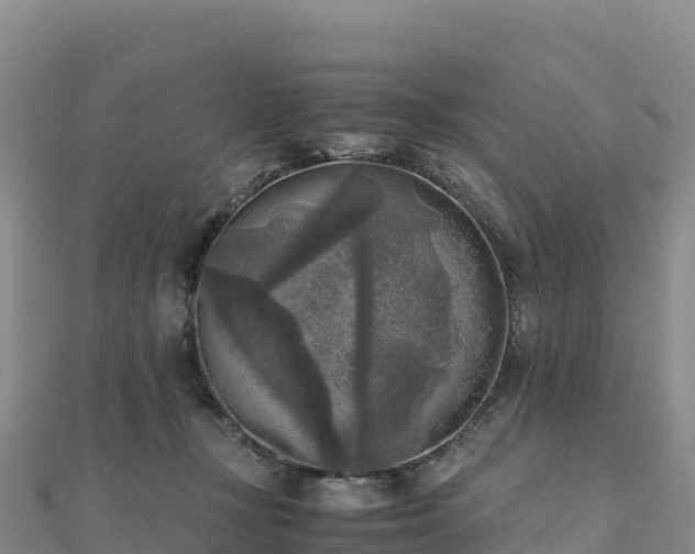 X0000110730367200906191530