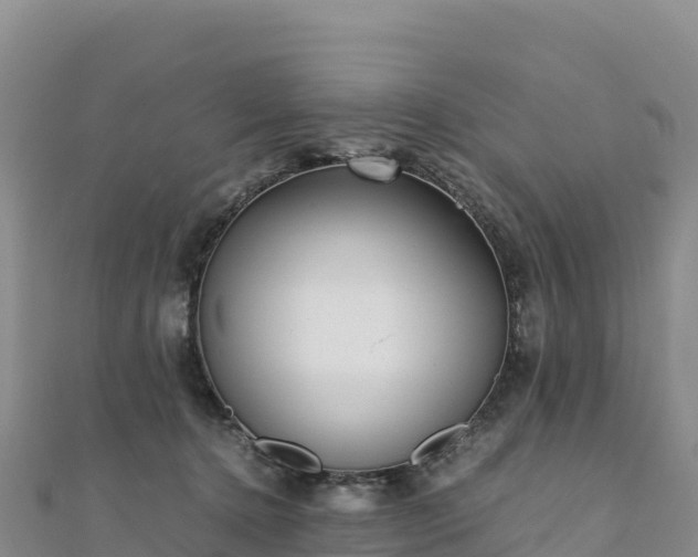 X0000110730368200906191530