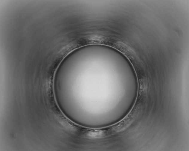 X0000110730369200906191530