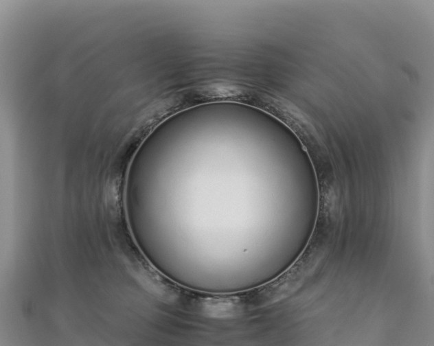 X0000110730373200906191530