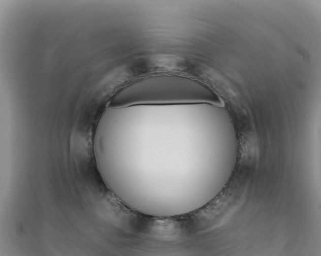 X0000110730376200906191531