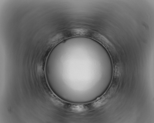 X0000110730377200906191531