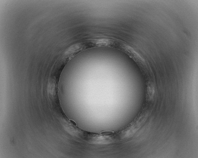 X0000110730379200906191531