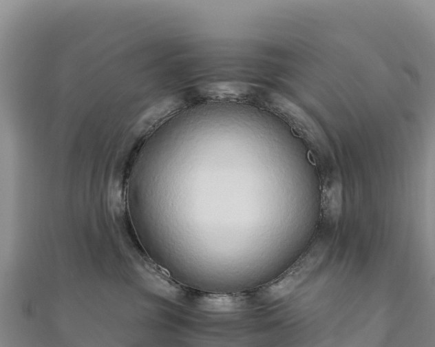 X0000110730381200906191531