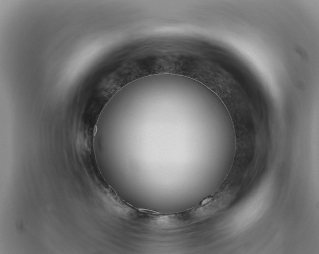 X0000110730382200906191531