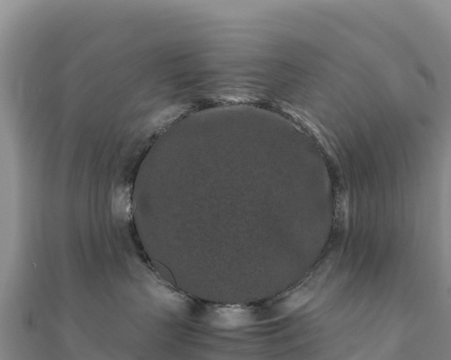 X0000110730383200906191531