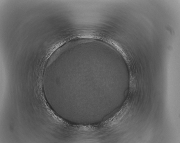 X0000110730385200906191530