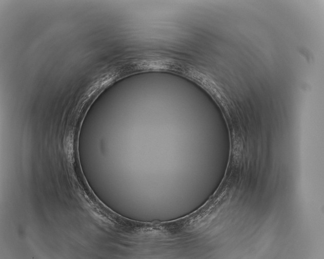 X0000110730386200906191530