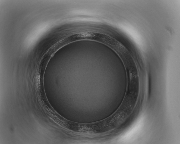 X0000110730387200906191530