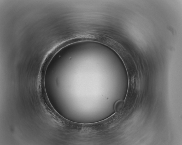 X0000110730388200906191530