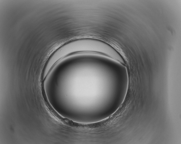 X0000110730389200906191530