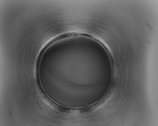 X0000110730391200906191530