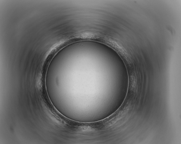 X0000110730392200906191530