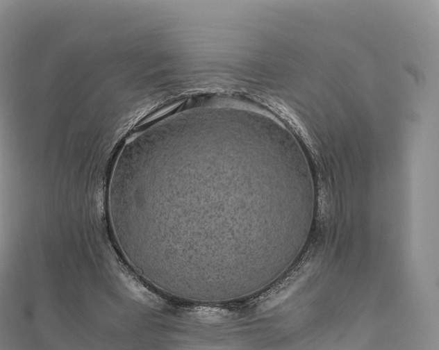 X0000110730393200906191530