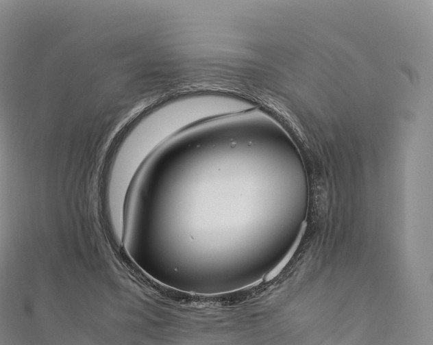 X0000110730395200906191530