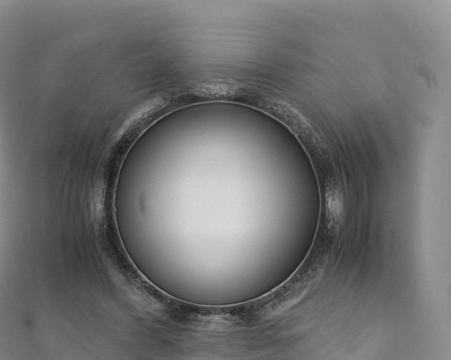 X0000110730396200906191530