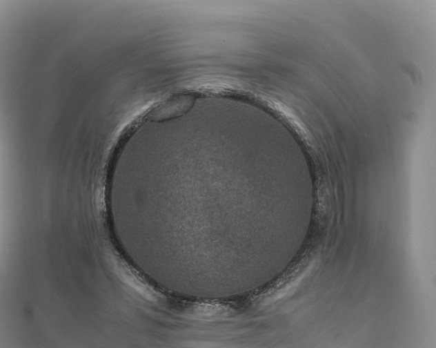 X0000110730399200906191530