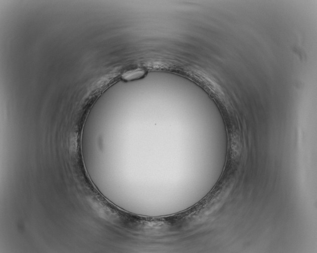 X0000110730401200906191530