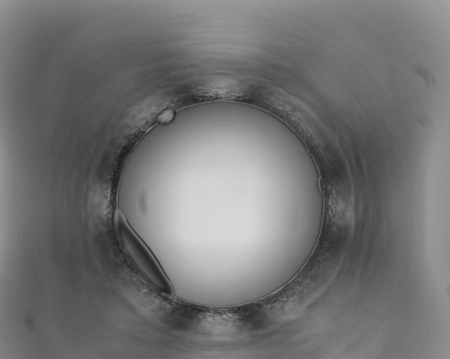 X0000110730403200906191530