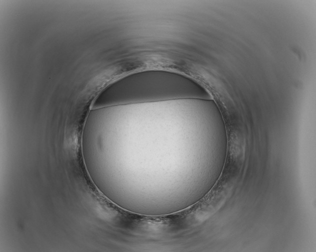 X0000110730405200906191530