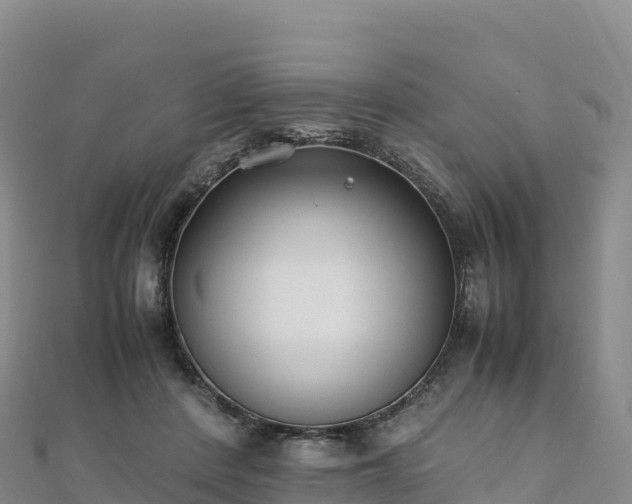 X0000110730408200906191530