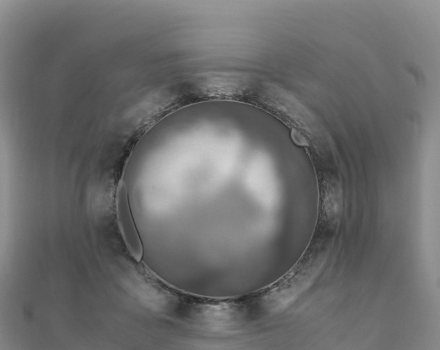 X0000110730411200906191530