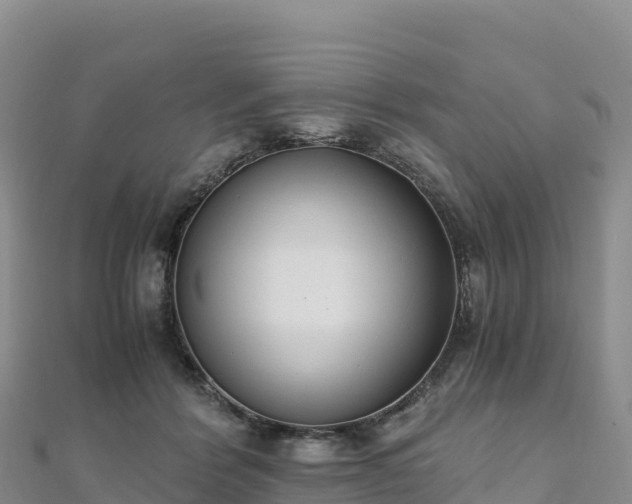 X0000110730412200906191530