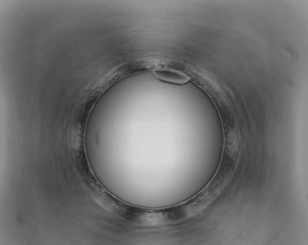 X0000110730413200906191530