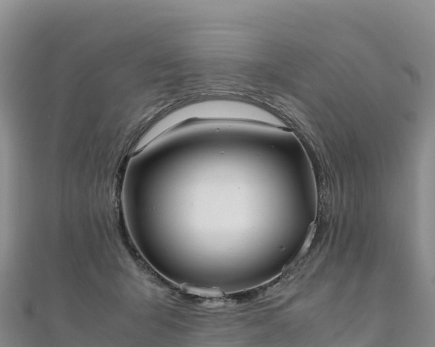 X0000110730415200906191530