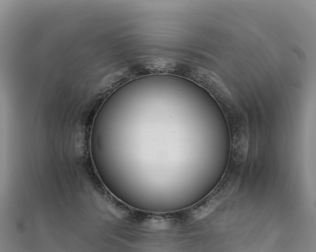 X0000110730416200906191530