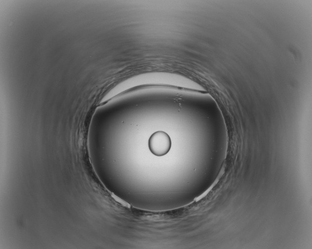 X0000110730417200906191530