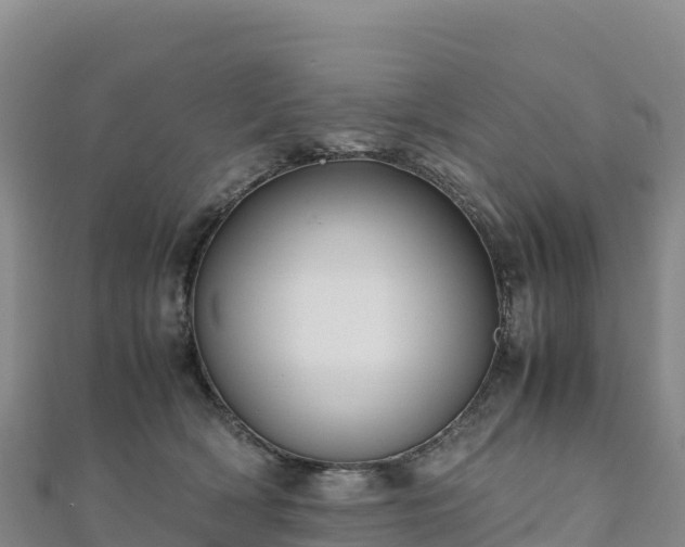 X0000110730418200906191530