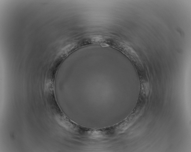 X0000110730419200906191530