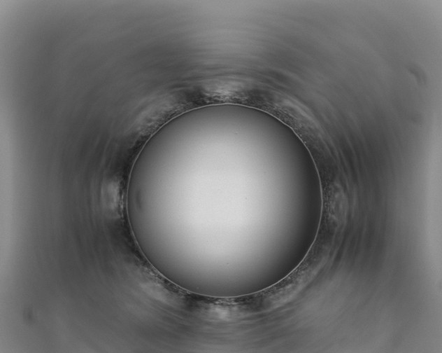 X0000110730420200906191530