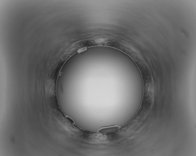 X0000110730421200906191530