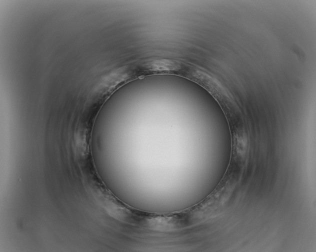 X0000110730422200906191530