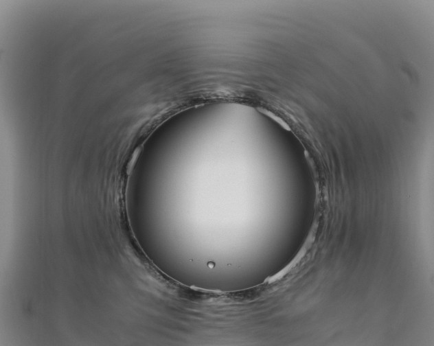 X0000110730423200906191530