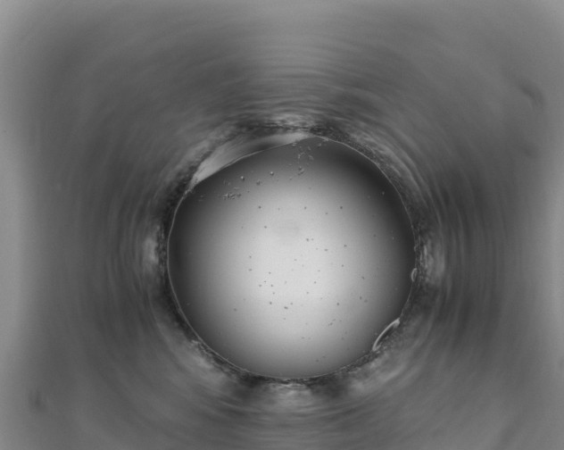 X0000110730424200906191530