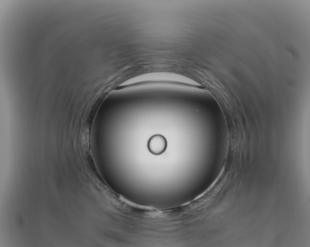 X0000110730425200906191529