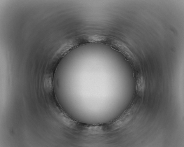 X0000110730426200906191529