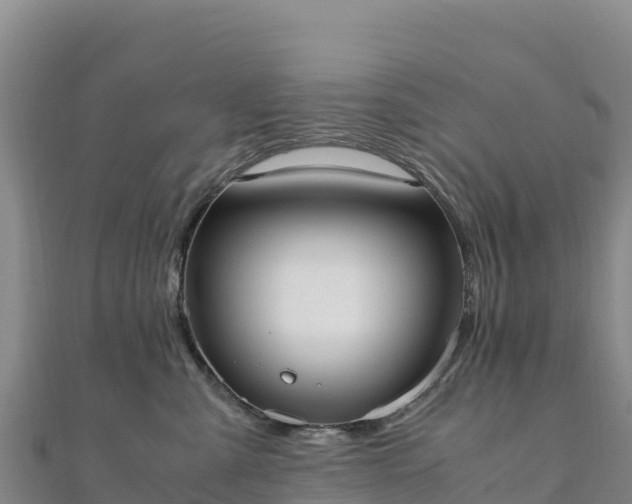 X0000110730427200906191529