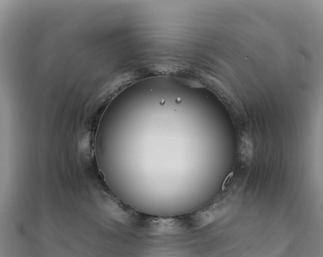 X0000110730428200906191529