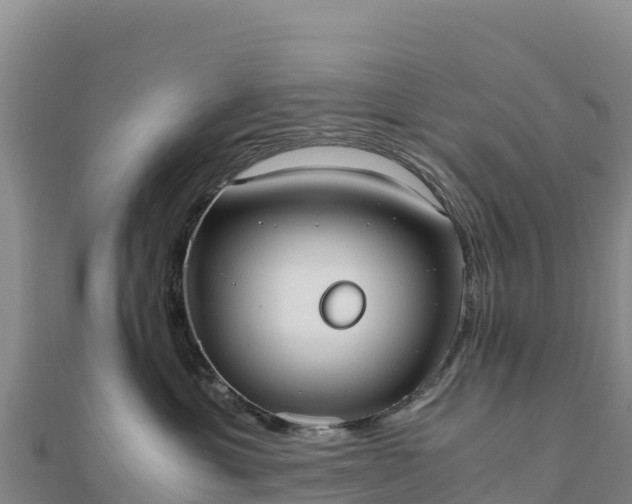 X0000110730429200906191529