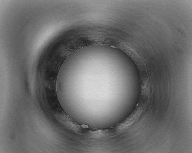 X0000110730430200906191529